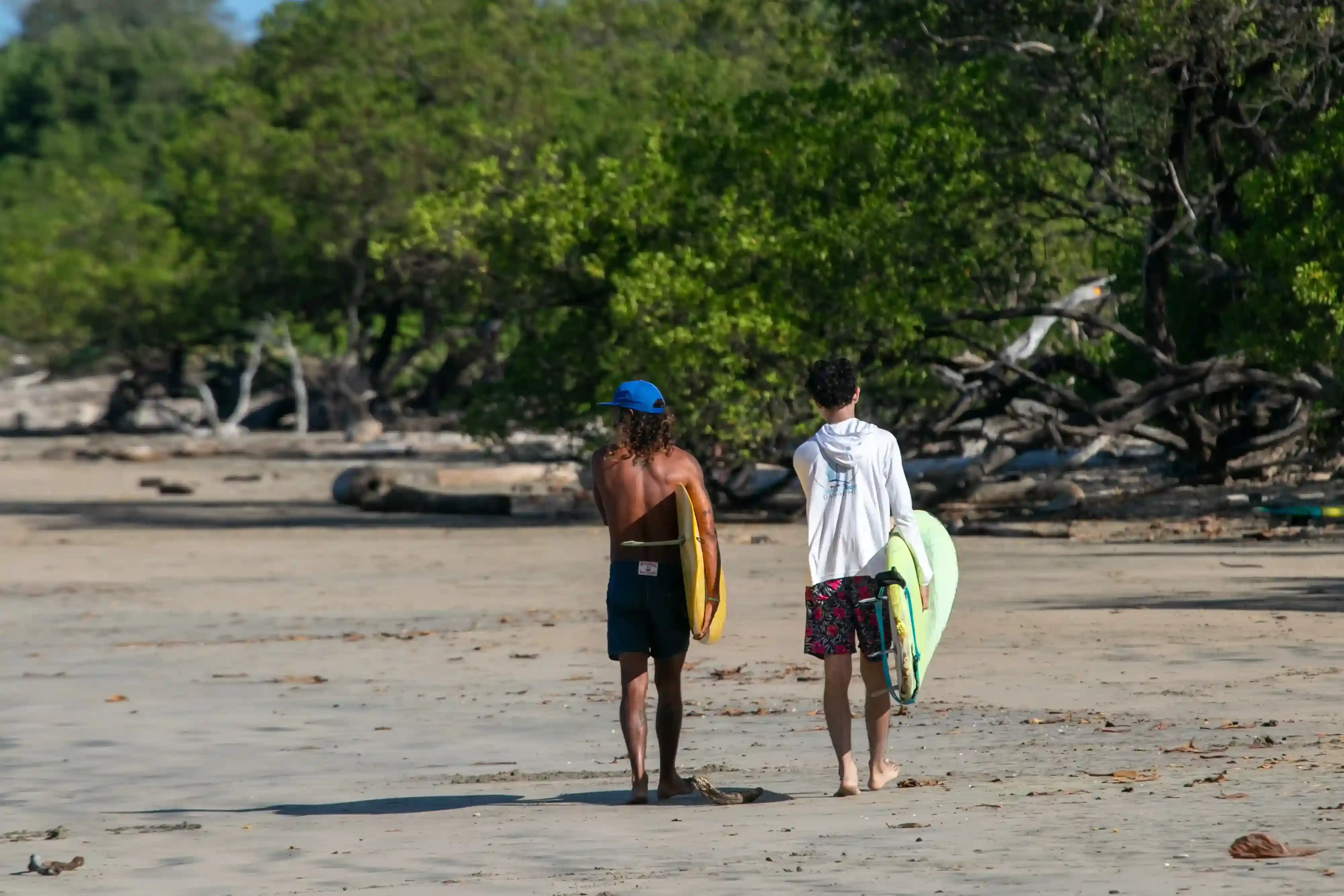 Expert Instructors